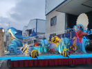 Peces